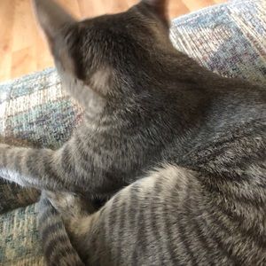 Meet your Posher, Cindy